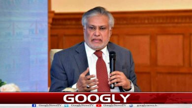 لبنان پر اسرائیلی حملوں نے مذاکراتی عمل کو شدید متاثر کیا: اسحاق ڈار 2 Israeli attacks on Lebanon seriously affected the negotiation process: Ishaq Dar