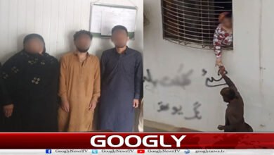 Another female drug dealer arrested from Karachi