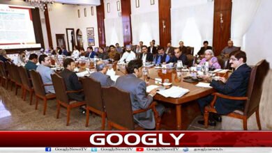 سندھ کابینہ نے بجٹ کی منظوری دےدی، تنخواہوں میں 7 فیصد اضافے کی تجویز 2 Sindh Cabinet approves budget, proposes 7% increase in salaries