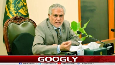 22 Iranian citizens released from the custody of American authorities reached Karachi: Ishaq Dar