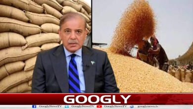Prime Minister orders wheat supply to Khyber Pakhtunkhwa