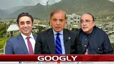 گلگت بلتستان الیکشن : پیپلز پارٹی کی کامیابی پر وزیراعظم کی صدر زرداری اور بلاول کو مبارک باد 5 Gilgit-Baltistan Election: Prime Minister congratulates President Zardari and Bilawal on PPP's victory