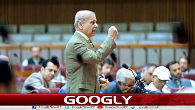 پاکستان نے مذاکراتی عمل میں تاریخی کردار ادا کیا : وزیراعظم 2 Pakistan played a historic role in the negotiation process: Prime Minister