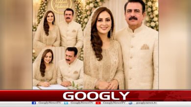 Farah Sadia and Farah Haider's wedding photos turned out to be fake