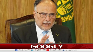For a strong economy, the country must be saved from anarchy, Ahsan Iqbal