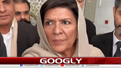 Imran Khan had received an offer from abroad before his arrest, Aleema Khan revealed
