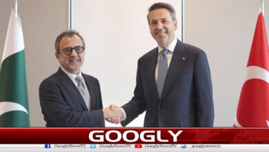 Pakistan and Turkey agree to increase cooperation in energy sector