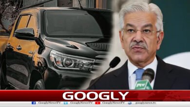 Criticized the use of Vigoda by the Minister of Defence, suggested a ban