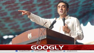 A Jayalalithaa Chief Minister is needed to ensure ownership of Gilgit-Baltistan: Bilawal Bhutto