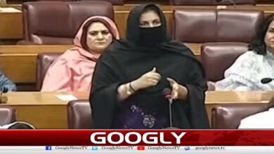 قومی اسمبلی:لیگی رکن نوشین افتخارکی اپوزیشن پرتنقید،بھوت قرار دیدیا 2 National Assembly: The opposition of Legi Member Nosheen Iftikhar was criticized and called a ghost