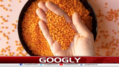 Consuming soy and pulses can reduce the risk of high blood pressure, experts say