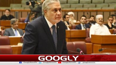 امن معاہدہ فیلڈ مارشل کی بدولت ممکن ہوا،اسحاق ڈار 5 The peace agreement was made possible thanks to Field Marshal, Ishaq Dar