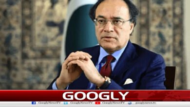 وفاقی وزیرخزانہ کی مہنگائی مزید نہ بڑھنےکی پیشگوئی