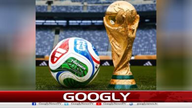 FIFA World Cup: 5 teams out of tournament after first two rounds