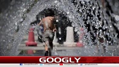 Heat engulfed Europe, 212 people lost their lives in 4 days