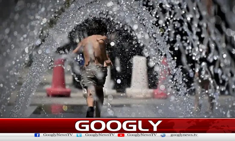 Heat engulfed Europe, 212 people lost their lives in 4 days