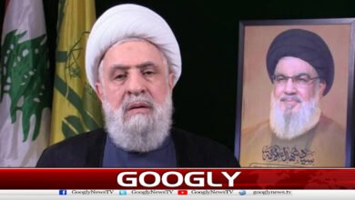 Hezbollah rejected the agreement between Israel and Lebanon