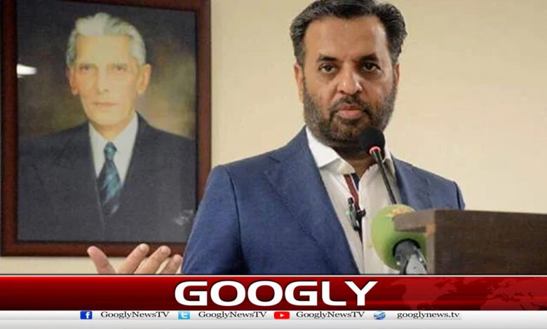وزیرصحت نے ہربل ادویات کی حمایت کردی 1 Health Minister supports herbal medicines