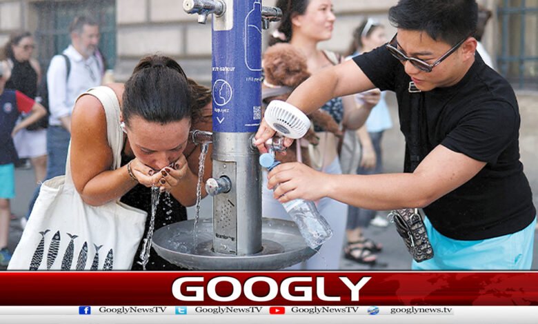 Europe was scorched by the heat, the death toll in France exceeded 1000