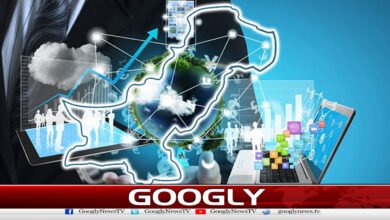 Pakistan's IT exports reached 4 billion 20 million dollars