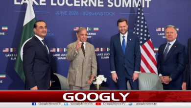 The American Vice President's acknowledgment of Pakistan's diplomatic role in the peace agreement