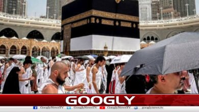 سرکاری حج سکیم کے تحت اخراجات کی رپورٹ جاری کردی گئی 2 Expenditure report released under government Hajj scheme