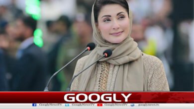 Kisan Card is changing the fate of farmers, says Maryam Nawaz