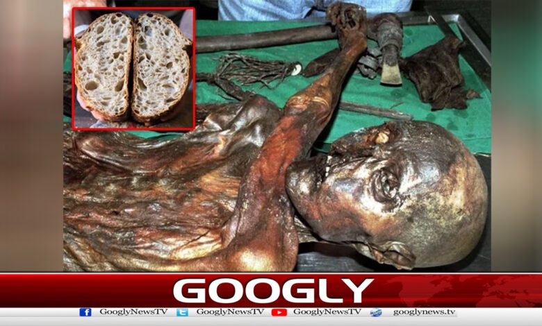 Bread made from yeast found in thousands of years old mummy