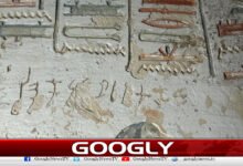 Indian man's name discovered in ancient Egyptian tombs