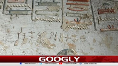 Indian man's name discovered in ancient Egyptian tombs