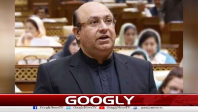 Punjab will defend its rights even if NFC is cut, says Mujtaba Shuja-ur-Rehman