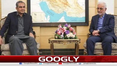 Federal Interior Minister Mohsin Naqvi meets with Iranian counterpart