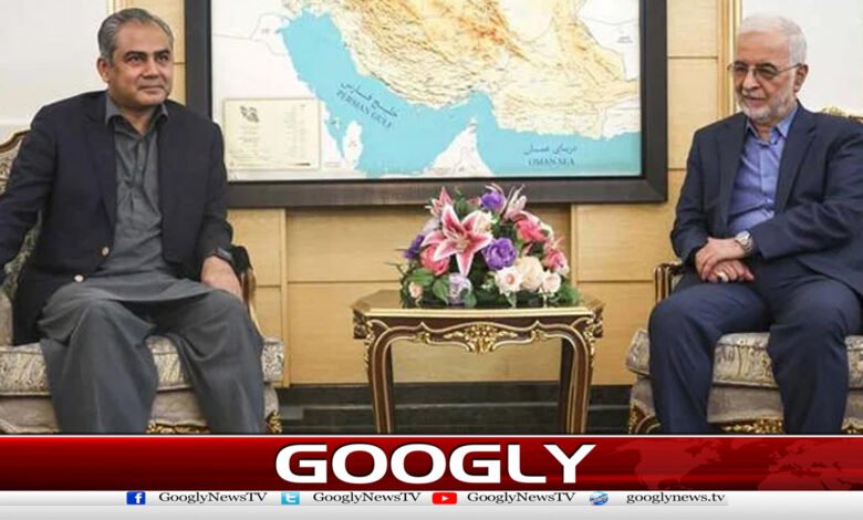 وفاقی وزیرداخلہ محسن نقوی کی ایرانی ہم منصب سے ملاقات 1 Federal Interior Minister Mohsin Naqvi meets with Iranian counterpart