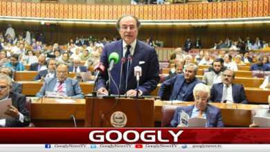 Important legislation declared as major reason for delay in federal budget