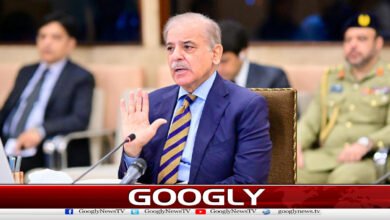 Farmers' access to easy agricultural loans should be improved: Prime Minister.