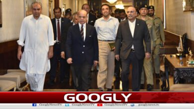 گلگت بلتستان میں حکومت بنانےکیلئےن لیگ،پیپلزپارٹی کےاتحاد کاامکان 5 PML-N, PPP likely to form government in Gilgit-Baltistan