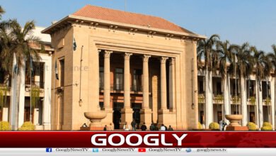 New strict law introduced against bullying and extortion