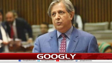 عوامی ایکشن کمیٹی کےایشو پرسنجیدہ مکالمےکی ضرورت ہے،وزیرقانون 5 Law Minister: Serious dialogue needed on Public Action Committee issue