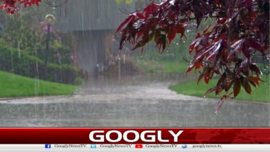12سے24گھنٹوں کے دوران گرج چمک کےساتھ بارش کاامکان 5 Chance of rain with thunder during 12 to 24 hours
