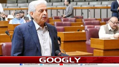 National Assembly: Rana Tanveer's PTI criticized, then apologized