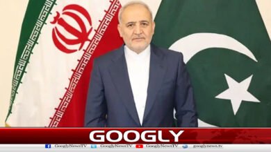 Iran will never bow down to America and the West, Ambassador Reza Amiri