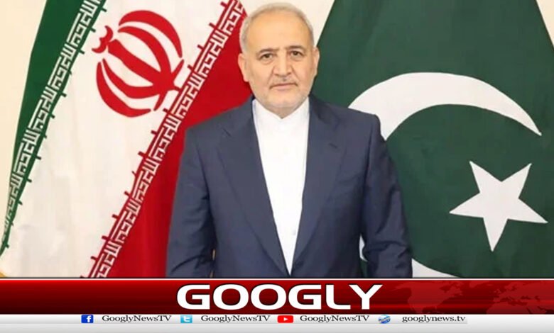 امریکا اور مغرب کے سامنے ایران کبھی نہیں جھکے گا، سفیر رضا امیری 1 Iran will never bow down to America and the West, Ambassador Reza Amiri
