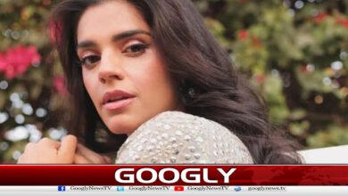معروف اداکارہ صنم سعید کاتنقید کرنیوالوں کو کرارہ جواب 2 Renowned actress Sanam Saeed's sharp response to critics