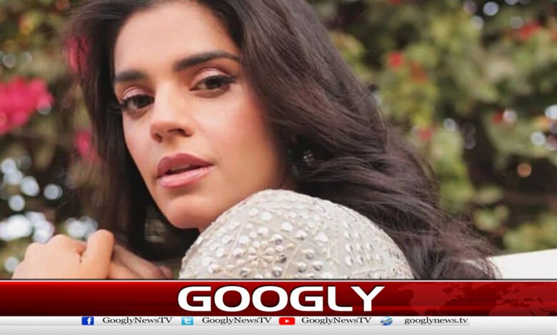 Renowned actress Sanam Saeed's sharp response to critics