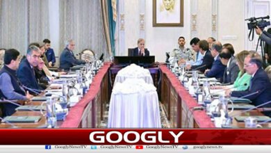 National Economic Council sets development program, economic targets separately