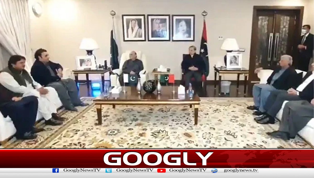 صدراوروزیراعظم کی اہم ملاقات،پیپلزپارٹی نےبجٹ پرگرین سگنل دیدیا