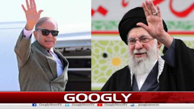 شہیدعلی خامنہ ای کی تدفین،شہبازشریف 3جولائی کوایران روانہ ہوں گے
