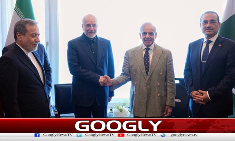 Bergen Stock: Meeting of the Iranian delegation with the Prime Minister and the Field Marshal