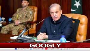 دہشت گردی کے چیلنج سے نمٹنے کیلئےوسائل درکارہیں،شہبازشریف