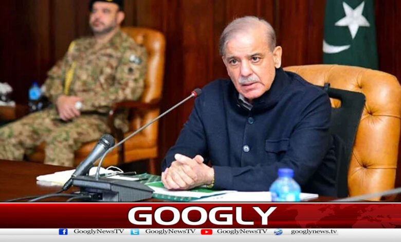 دہشت گردی کے چیلنج سے نمٹنے کیلئےوسائل درکارہیں،شہبازشریف